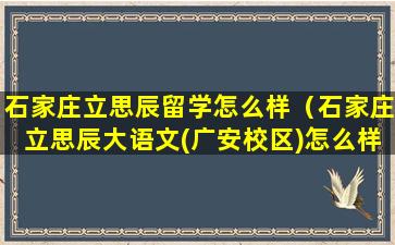 石家庄立思辰留学怎么样（石家庄立思辰大语文(广安校区)怎么样）