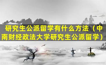 研究生公派留学有什么方法（中南财经政法大学研究生公派留学）