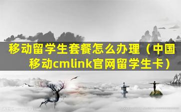 移动留学生套餐怎么办理（中国移动cmlink官网留学生卡）