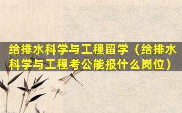 给排水科学与工程留学（给排水科学与工程考公能报什么岗位）