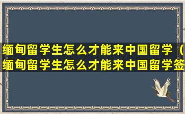 缅甸留学生怎么才能来中国留学（缅甸留学生怎么才能来中国留学签证）