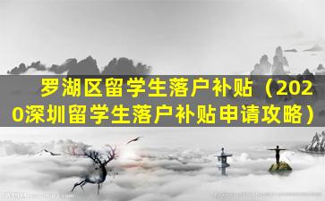 罗湖区留学生落户补贴（2020深圳留学生落户补贴申请攻略）