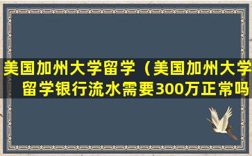 美国加州大学留学（美国加州大学留学银行流水需要300万正常吗）