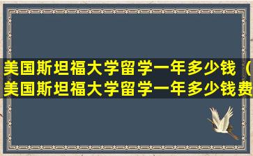 美国斯坦福大学留学一年多少钱（美国斯坦福大学留学一年多少钱费用）