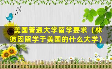 美国普通大学留学要求（林徽因留学于美国的什么大学）