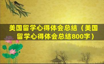 美国留学心得体会总结（美国留学心得体会总结800字）