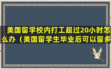 美国留学校内打工超过20小时怎么办（美国留学生毕业后可以留多久）