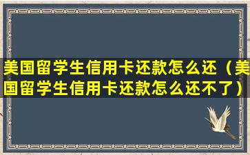 美国留学生信用卡还款怎么还（美国留学生信用卡还款怎么还不了）