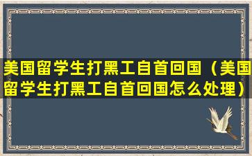 美国留学生打黑工自首回国（美国留学生打黑工自首回国怎么处理）