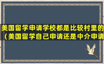 美国留学申请学校都是比较村里的（美国留学自己申请还是中介申请）