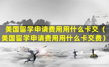 美国留学申请费用用什么卡交（美国留学申请费用用什么卡交费）