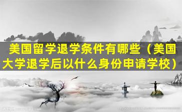 美国留学退学条件有哪些（美国大学退学后以什么身份申请学校）