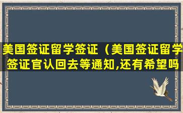 美国签证留学签证（美国签证留学签证官认回去等通知,还有希望吗）