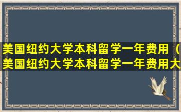 美国纽约大学本科留学一年费用（美国纽约大学本科留学一年费用大概多少）