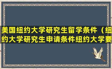 美国纽约大学研究生留学条件（纽约大学研究生申请条件纽约大学要求）