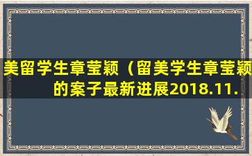 美留学生章莹颖（留美学生章莹颖的案子最新进展2018.11.2）