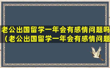 老公出国留学一年会有感情问题吗（老公出国留学一年会有感情问题吗知乎）