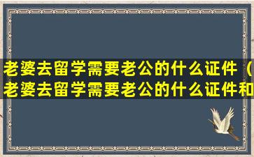 老婆去留学需要老公的什么证件（老婆去留学需要老公的什么证件和手续）