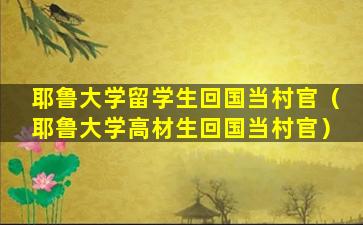 耶鲁大学留学生回国当村官（耶鲁大学高材生回国当村官）