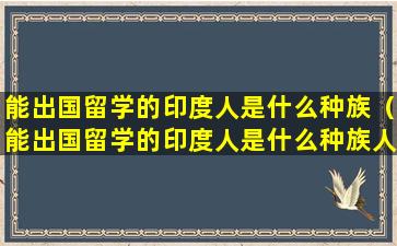 能出国留学的印度人是什么种族（能出国留学的印度人是什么种族人）