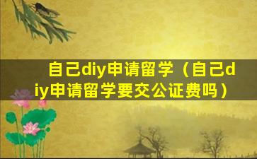 自己diy申请留学（自己diy申请留学要交公证费吗）