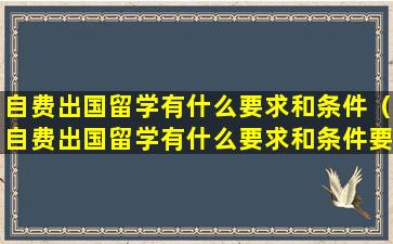 自费出国留学有什么要求和条件（自费出国留学有什么要求和条件要求）