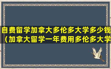 自费留学加拿大多伦多大学多少钱（加拿大留学一年费用多伦多大学2019）