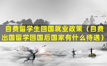 自费留学生回国就业政策（自费出国留学回国后国家有什么待遇）