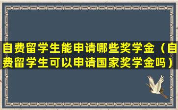 自费留学生能申请哪些奖学金（自费留学生可以申请国家奖学金吗）