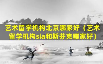 艺术留学机构北京哪家好（艺术留学机构sia和斯芬克哪家好）