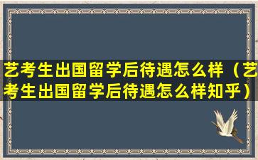 艺考生出国留学后待遇怎么样（艺考生出国留学后待遇怎么样知乎）