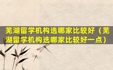 芜湖留学机构选哪家比较好（芜湖留学机构选哪家比较好一点）