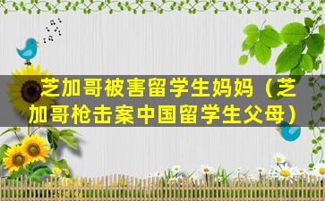 芝加哥被害留学生妈妈（芝加哥枪击案中国留学生父母）