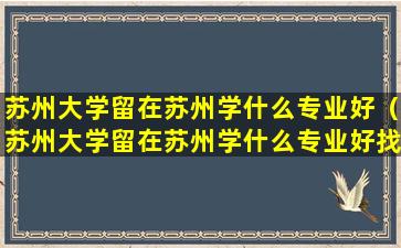 苏州大学留在苏州学什么专业好（苏州大学留在苏州学什么专业好找工作）