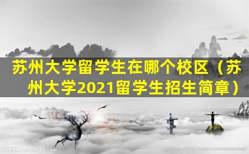 苏州大学留学生在哪个校区（苏州大学2021留学生招生简章）