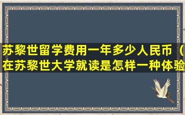 苏黎世留学费用一年多少人民币（在苏黎世大学就读是怎样一种体验）