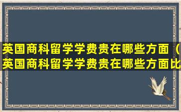 英国商科留学学费贵在哪些方面（英国商科留学学费贵在哪些方面比较好）