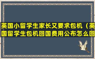 英国小留学生家长又要求包机（英国留学生包机回国费用公布怎么回事）