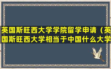英国斯旺西大学学院留学申请（英国斯旺西大学相当于中国什么大学）