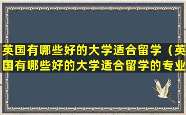 英国有哪些好的大学适合留学（英国有哪些好的大学适合留学的专业）