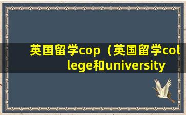 英国留学cop（英国留学college和university的区别）