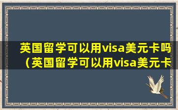 英国留学可以用visa美元卡吗（英国留学可以用visa美元卡吗现在）