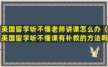 英国留学听不懂老师讲课怎么办（英国留学听不懂课有补救的方法吗）