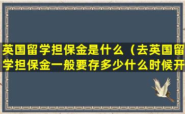 英国留学担保金是什么（去英国留学担保金一般要存多少什么时候开始存）