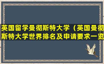 英国留学曼彻斯特大学（英国曼彻斯特大学世界排名及申请要求一览）