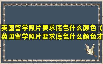 英国留学照片要求底色什么颜色（英国留学照片要求底色什么颜色才能上传）