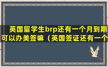 英国留学生brp还有一个月到期可以办美签嘛（英国签证还有一个月到期可以入境吗）