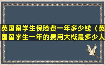 英国留学生保险费一年多少钱（英国留学生一年的费用大概是多少人民币）