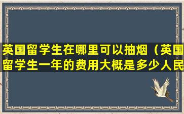 英国留学生在哪里可以抽烟（英国留学生一年的费用大概是多少人民币）