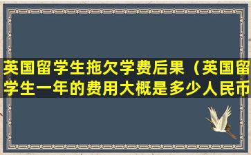 英国留学生拖欠学费后果（英国留学生一年的费用大概是多少人民币）